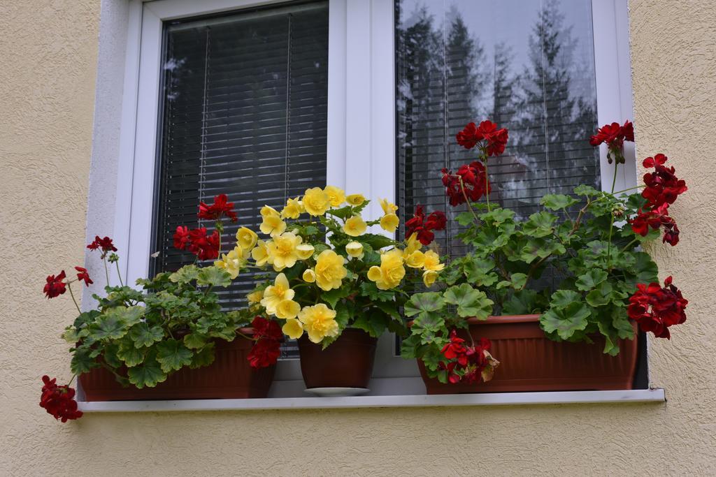 Dobrila Apartments Zlatibor Exterior foto