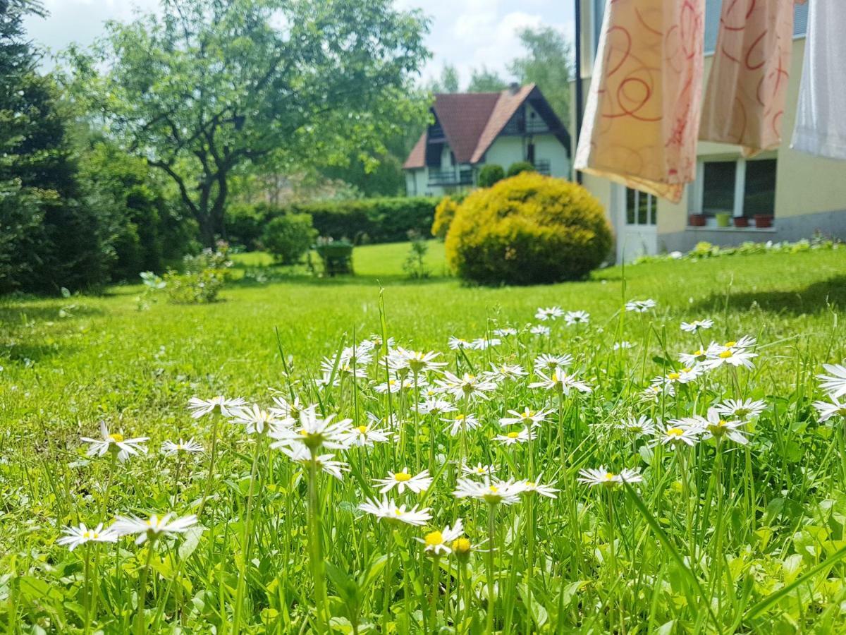 Dobrila Apartments Zlatibor Exterior foto